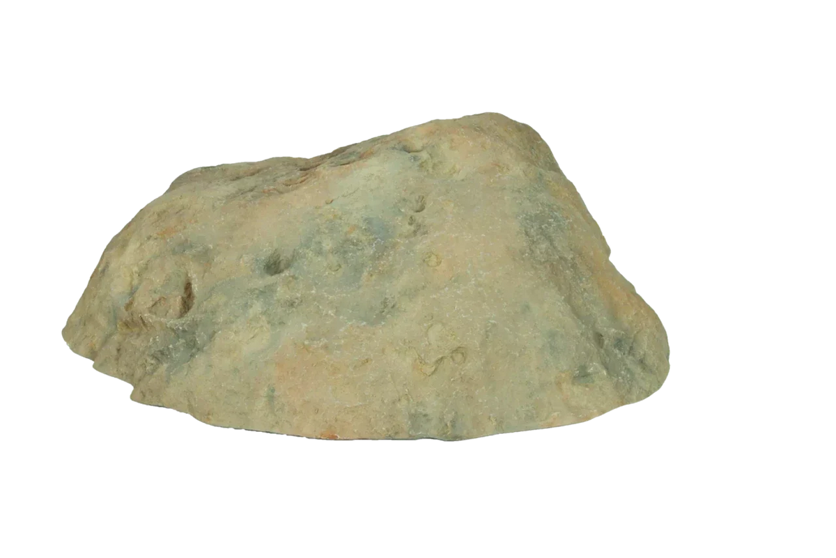 Atlantic Water Gardens: Rock Lid | Small, Medium & Large