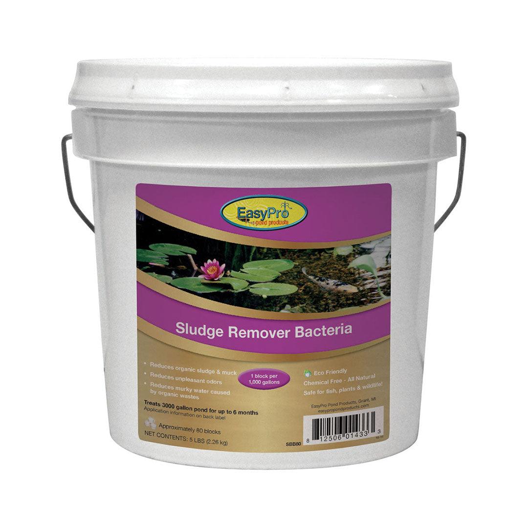 Easy Pro: Sludge Remover Bacteria Blocks | 4 Sizes Available - Midwest Ponds
