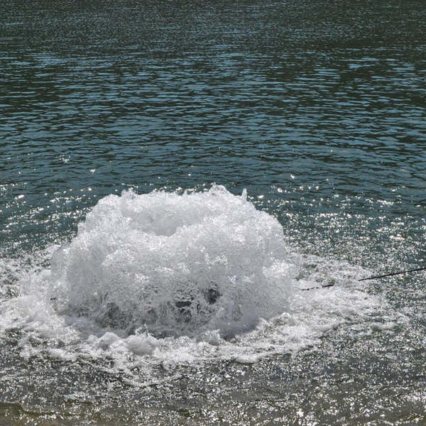 Scott Aerator:  230V | Boilermaker | Surface Aerator | Pond Aerator