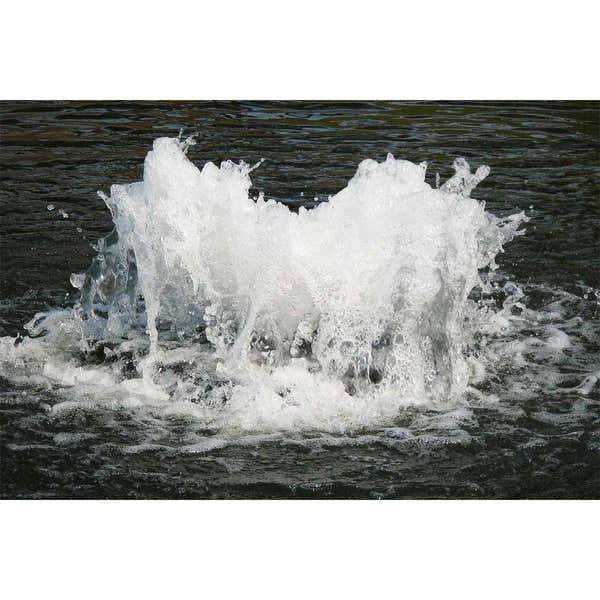 Scott Aerator: 115V | Boilermaker | Surface Aerator | Pond Aerator