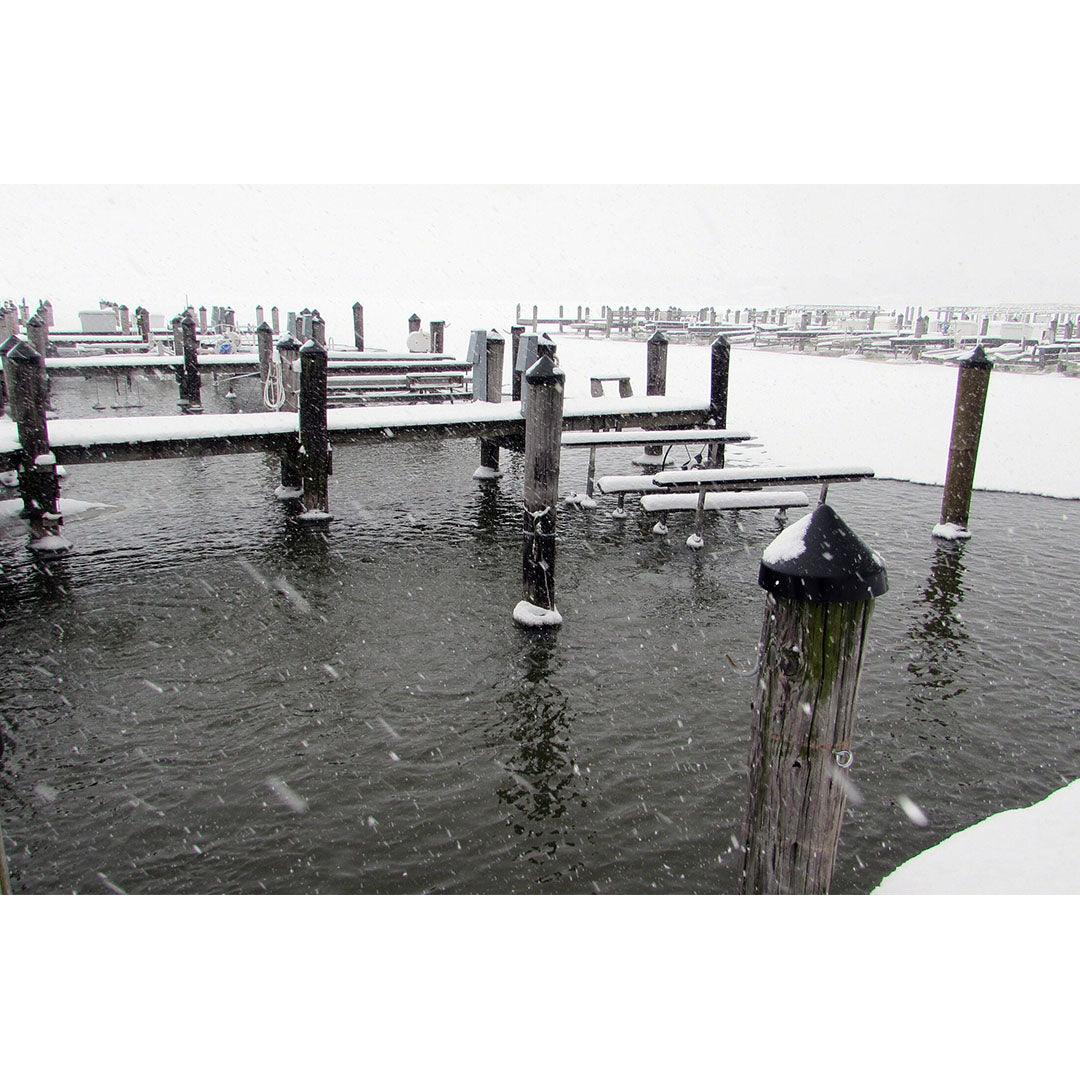 Scott Aerator: 115 Volt | Floating Deicer | 1/3, 1/2, 3/4 & 1HP | 35 Foot Power Cord - Midwest Ponds